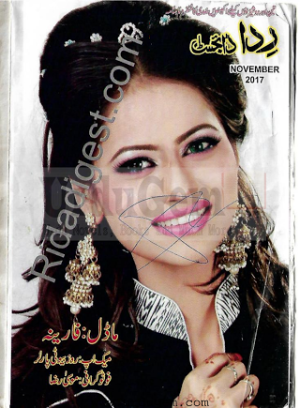 Rida Digest November 2017