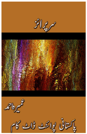 Surprise Novel