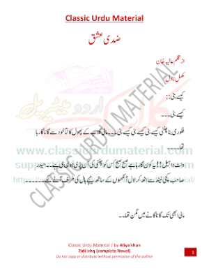 Zidi ishq novel 