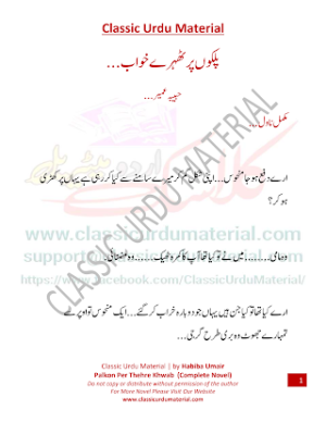 palkon per thehre khwab novel 