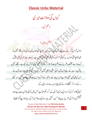 kahan gai wo zaat meri 