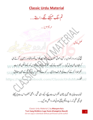 tum sang mehkne lage raste novel 