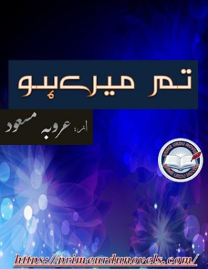 Tum Mere Ho Episodes 1