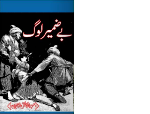 Bay Zameer Log