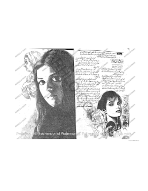 Nisf Sadi Ka Safar Last Episode