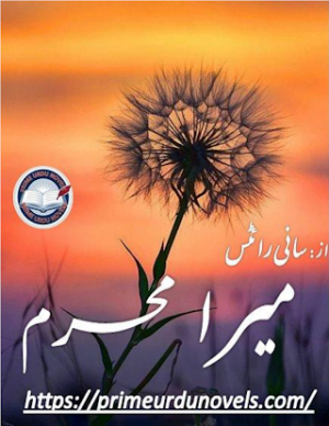 Mera Mehram Episode 1 To 35