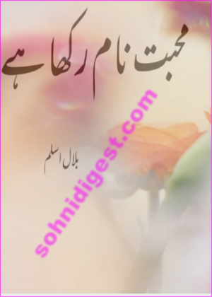 Mohabbat Naam Rakha Hai