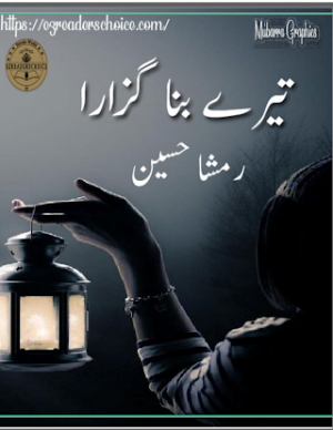 Tere Bina Guzara Episodes 1 To 4