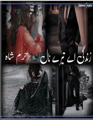 Zindagi Aye Tery Naal