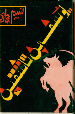 Yousuf Bin Tashfin 01