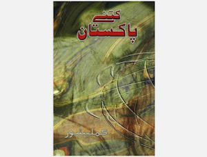 Kitne Pakistan  Urdu