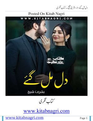 Dil Mil Gaye  