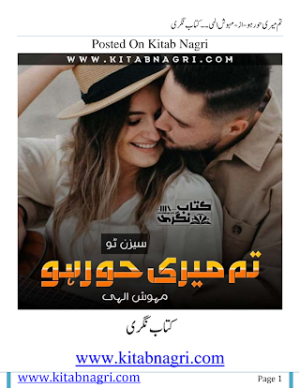 Tum Meri Hoor Ho Season 2  