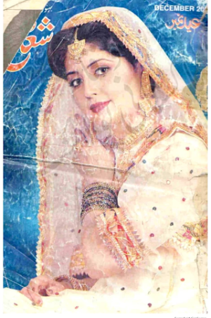 Shua digest December 2002