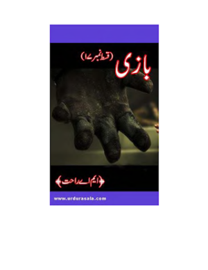 Baazi 17 Last 