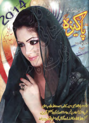 Pakeeza Digest January 2014