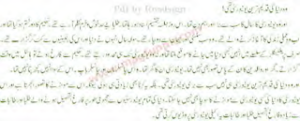 Shetan