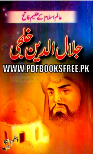 Sultan Jalaluddin Khilji 