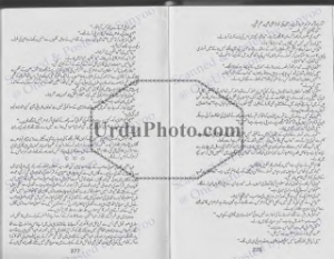 Zindagi ek Roshani part 2