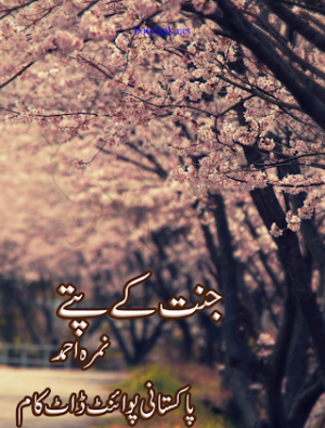 Jannat kay Pattay pdf