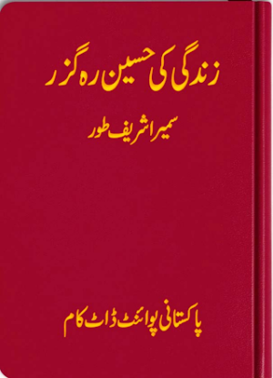 Zindgi ki Haseen Rahguzar PDF