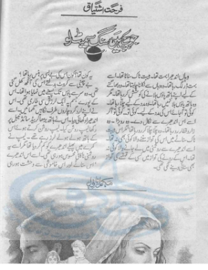 Jo Bachay Hain Sang Samait Lo