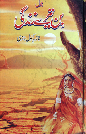 Bin tere zindgi
