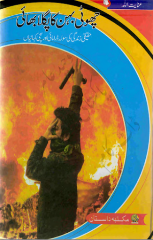 Choti Behan Ka Pagla Bhai