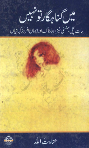 Main Gunahgar To Nahi