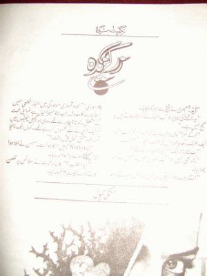 Zar Gazeeda