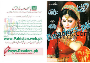 Kiran Digest January 2014