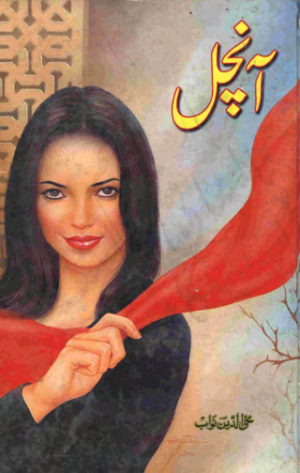 Aanchal Novel