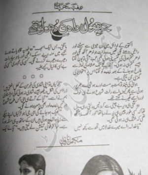 Jo Phool Rah Ki Dhool Thay 