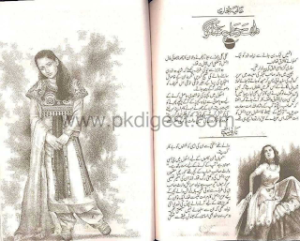 Dil Se Hisab Na Mango 