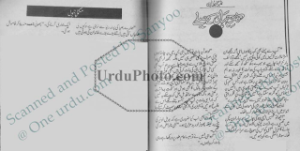 Kar e Jahan Kay Melay 