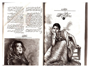 Yeh Hadsat e Mohabbat 