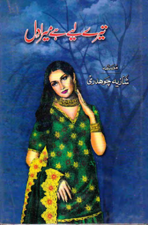 Tere Liye Hai Mera Dil