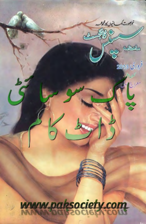 Suspense Digest February 2013