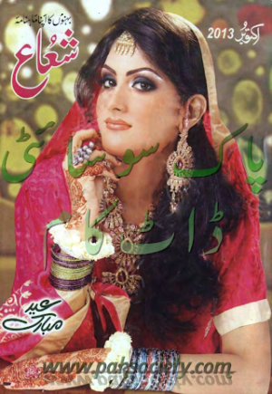 Shuaa Digest October 2013