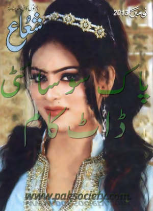 Shuaa Digest November 2013