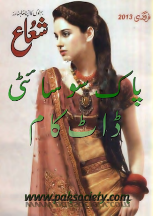 Shuaa Digest February 2013