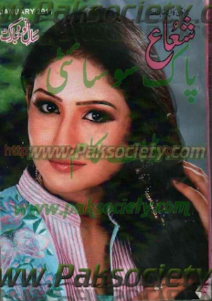 Shuaa Digest January 2011