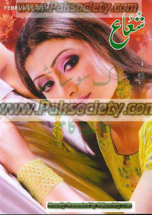 Shuaa Digest February 2011