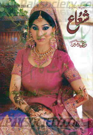 Shuaa Digest November 2011