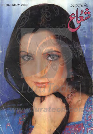 Shuaa Digest February 2009