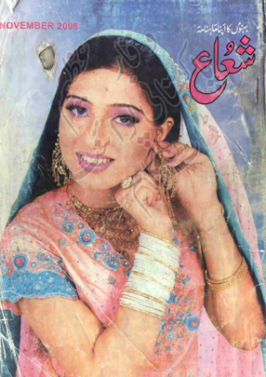 Shuaa Digest November 2008