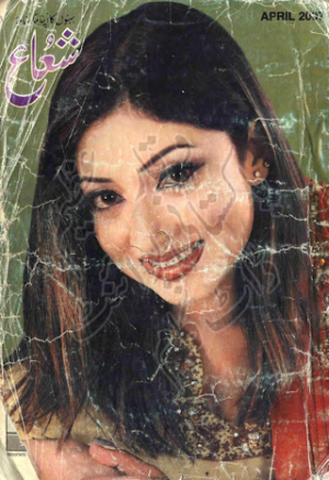 Shuaa Digest April 2007