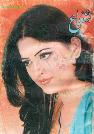 Shuaa Digest December 2007