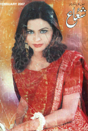 Shuaa Digest February 2007