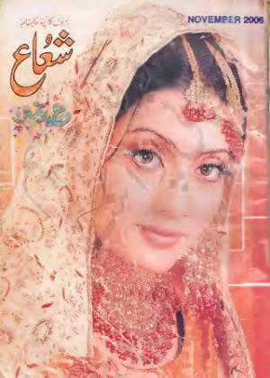 Shuaa Digest November 2006